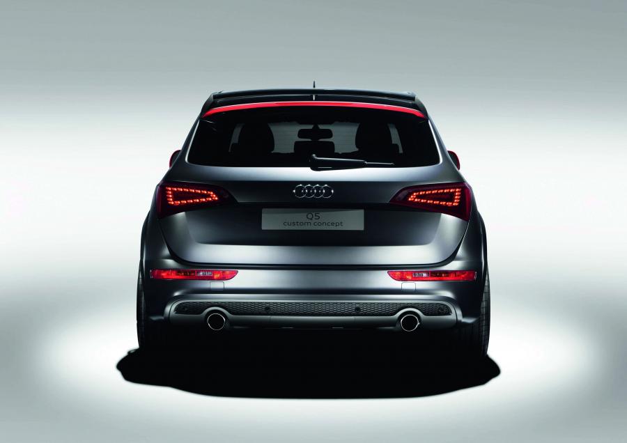  Audi Q5 Custom Concept (8R) 2009 года  (фото 10 из 18)